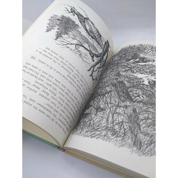 Vtg Dandelion Library double book Bambi's Children & Old Rosie stories HC - Picture 6 of 11